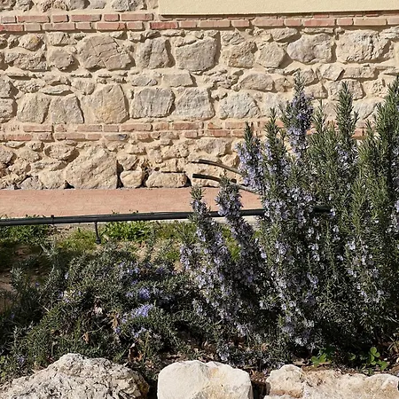 Fattoria Del Borgo In Sabina *